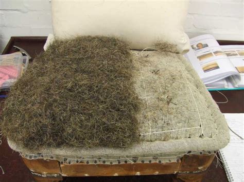 Is it true that badgers are if they we're killing the animals just for their hair i might well feel differently. Reupholstery & Restoration — Rosie Shaw Upholstery