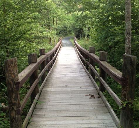Limberlost Trail Is A Magical Wooded Hike In Virginia