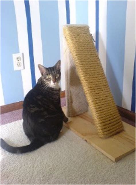 Make this fantastic diy cat scratching post with limited supplies! Top 10 DIY Cat Scratching Posts and Pads