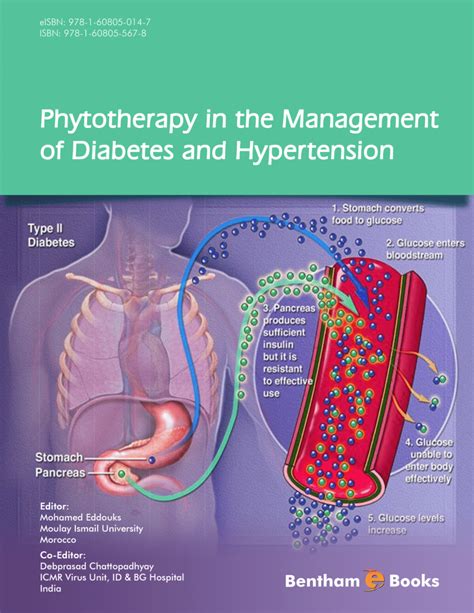 Pdf Phytotherapy Of Hypertension And Diabetes Mellitus
