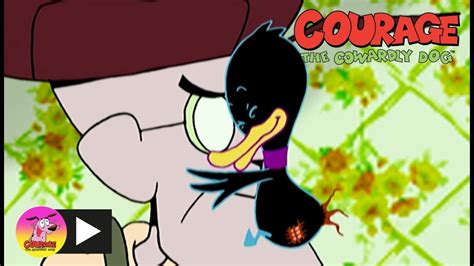 Courage The Cowardly Dog Deadly Duckling Cartoon