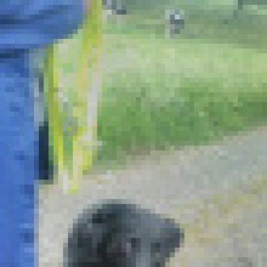 Darf ich fragen, warum du deinen rüden nicht kastrieren lassen willst?.ich dachte immer, es sei besser, wenn die hundis. Kastration eines Rüden