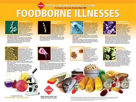 Refrigerate and freeze necessary foods right away. food borne illness printable poster for the classroom ...