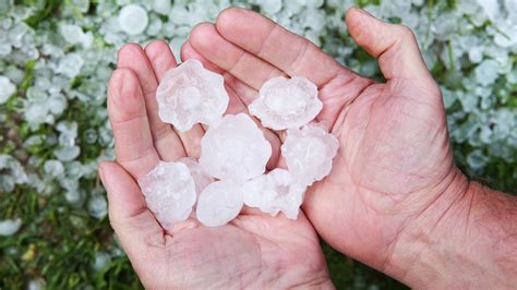 When Hail Strikes Nebraska Extension Has Answers Nebraska Today