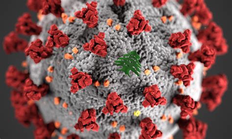 El director de emergencias de la oms, doctor mike ryan, expresó que delta es una advertencia de que este virus está. Nearly half of Lebanon's new COVID-19 cases caused by ...