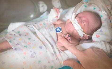 El Desarrollo Del Bebé Prematuro Enfabebé Venezuela