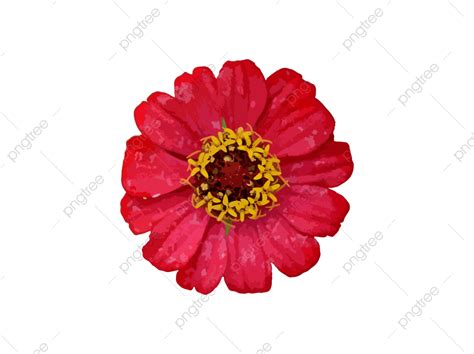 Gambar Patung Vektor Floret Merah Bunga Bunga Bunga Merah Png Dan