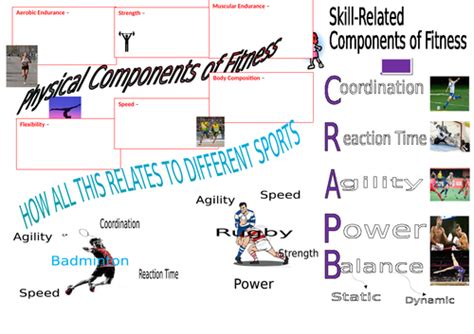 Btec Sport Level 2 Unit 1 Revision Mat Teaching Resources