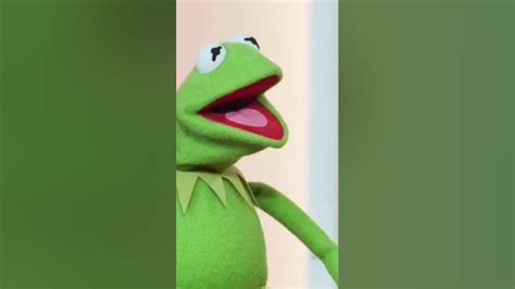 Kermit Relaxing In Sesame Street Kermitthefrog Youtube
