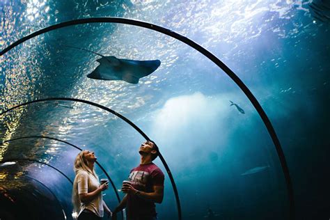 10 Best Aquariums In The Us Travel Leisure