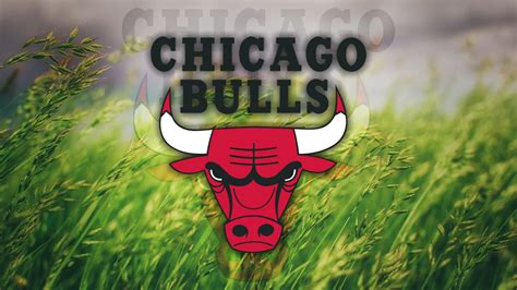 Chicago Bulls Logo Grass Nba Basketball Wallpaper