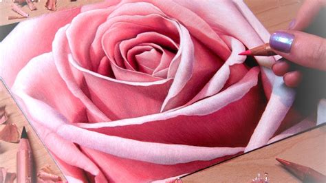 Pencil Realistic Pencil Rose Flower Drawing