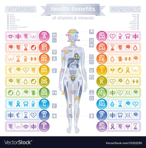 Mineral Vitamin Supplement Icons Health Benefit Vector Image