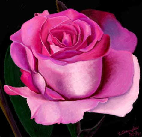 Pink Rose ← A Plants Speedpaint Drawing By Kutedymples Queeky Draw