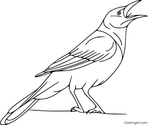 10 free printable Crow coloring pages in vector format, easy to print