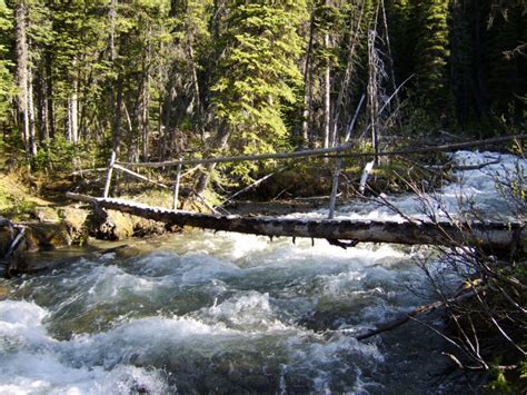 Hours may change under current circumstances Ozalenka Valley &Cabin - ClubTread Community