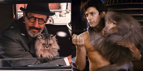 The 10 Best Jeff Goldblum Movies According To Imdb