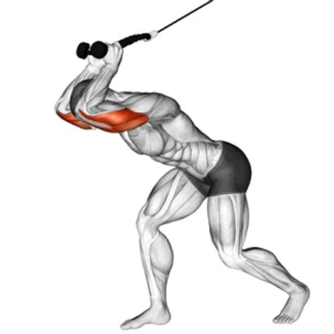 Overhead Tricep Cable Extension Exercise How To Workout Trainer By