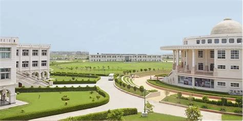 Noida International University Noida 2024 25 Fees Cutoff Course