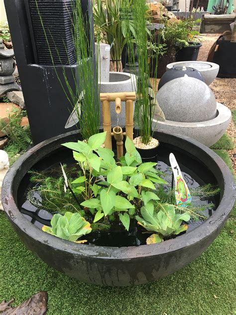 If you live in a warmer region with temperatures above 70 f, some of our recommended algae eaters might not survive the negative effects of high temperatures on. Patio Ponds | DIY Patio Pond | Aquascape Supplies Australia