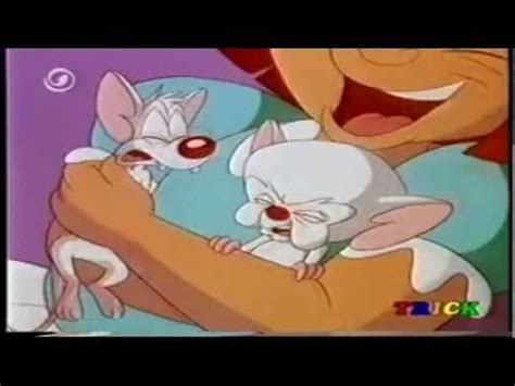 Pinky and brain are genetically enhanced laboratory mice who reside in a cage in the acme labs research facility. Intro Pinky,Elmyra & Brain - YouTube