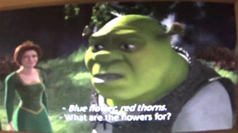 Shrek Arrow Scene Youtube