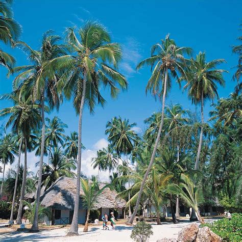 Hotel Diamonds Mapenzi Beach Tanzania Zanzibar Opis Oferty Flypl