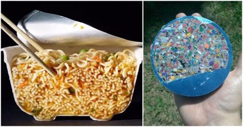 28 Awesome Photos Of Everyday Things Cut In Half These Are Amazing