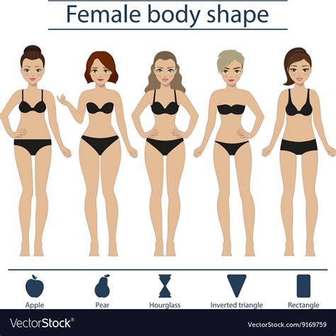 Female Body Shape Set Royalty Free Vector Image