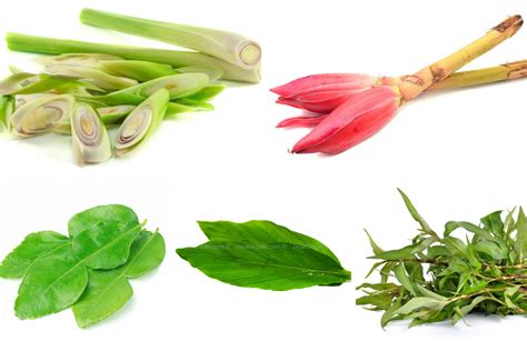 Kemudian bakar ikan sehingga masak. Petua Daun Kunyit, Limau Purut, Kesum, Serai & Bunga ...