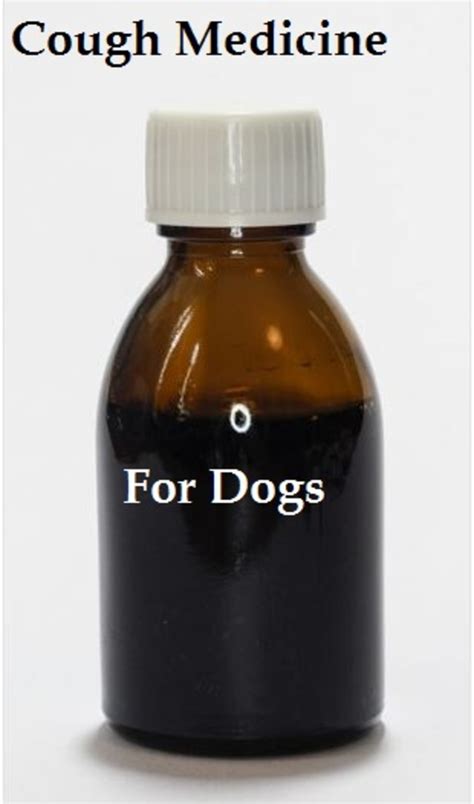 A List Of Medicines For Dog Cough Dog Discoveries