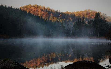 Download Wallpaper 3840x2400 Lake Forest Fog Autumn Nature 4k Ultra