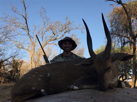 Trophy Bushbuck Hunting In South Africa Big Game Hunting Adventures