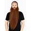 IFCs Whisker Wars Focuses On Competitive Beard Growing Yes Its An 