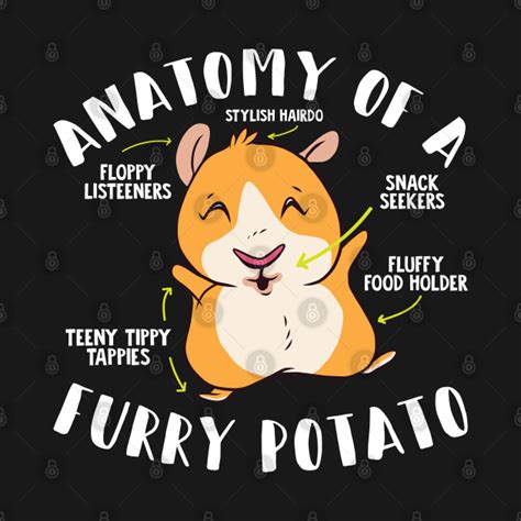 Anatomy Of A Furry Potato Guinea Pig Small Cute Pets Guinea Pig T