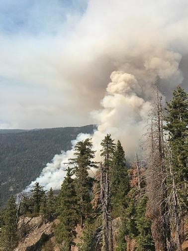 Town Evacuated As Yosemite National Park Ca Fire Grows To 3200 Acres