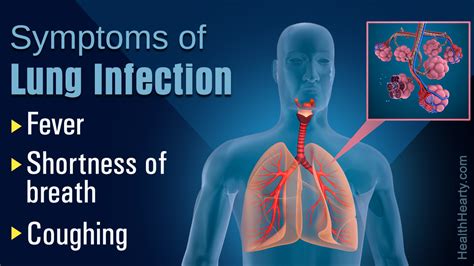 Lung Infection Symptoms Health Hearty