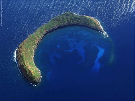 Snorkeling In Molokini Crater Maui Snorkeling In Hawaii