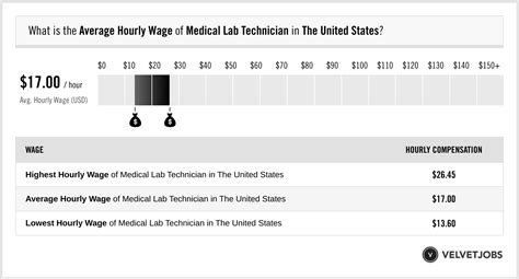 Medical Lab Technician Salary Actual 2024 Projected 2025 Velvetjobs