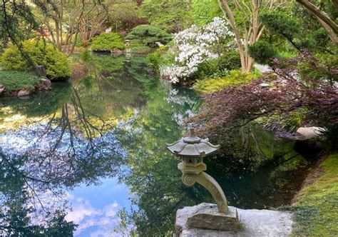 What kind of flowers are in gibbs gardens? Japanese Gardens near Atlanta | Tsukiyama Gardens | Gibbs ...