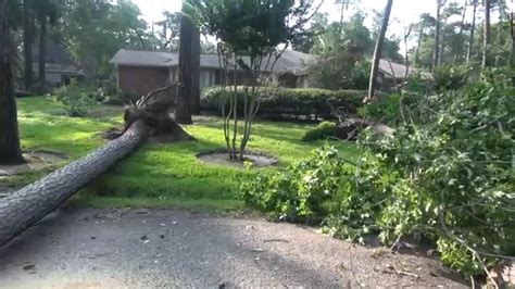 Montgomery County Storm Widespread Power Outages And Damage Prompt