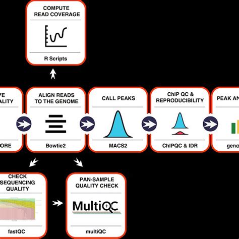 Workflow Diagram For Chip Seq Pipeline Download Scientific Diagram