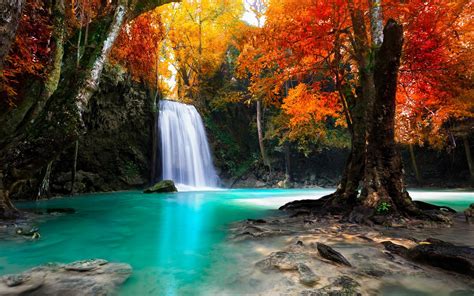 Colorful Trees Waterfall Nature Tropical Forest Fall Landscape Thailand