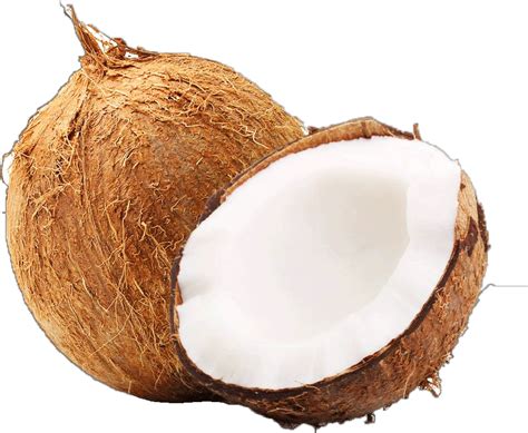 Coconut Png Clipart Coconut Coconut Clipart Coconut C