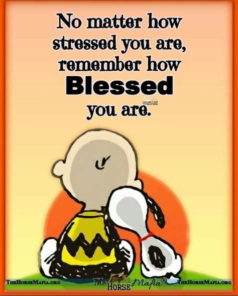 No Matter What Snoopy Quotes Peanuts Quotes Charlie Brown Quotes