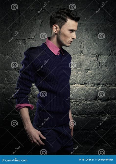 Portrait Of A Handsome Stylish Man Posing In Photostudio Stock Image