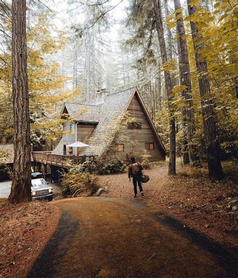 Cabin Outdoors Treehouse On Instagram The Perfect Cabin For A