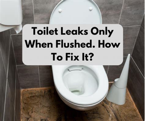 Toilet Leaks Only When Flushed How To Fix It Pick A Bathroom