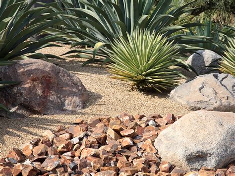 Xeriscaping A Water Wise Alternative