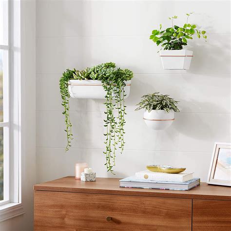 Wall Mounted Indoor Planters A Guide To The Benefits And Types Wall